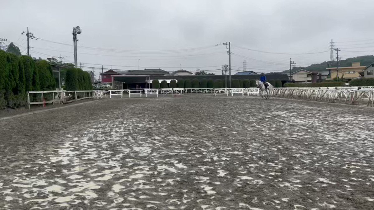 八王子乗馬倶楽部の乗鞍券13回分 シリーズ チケット
