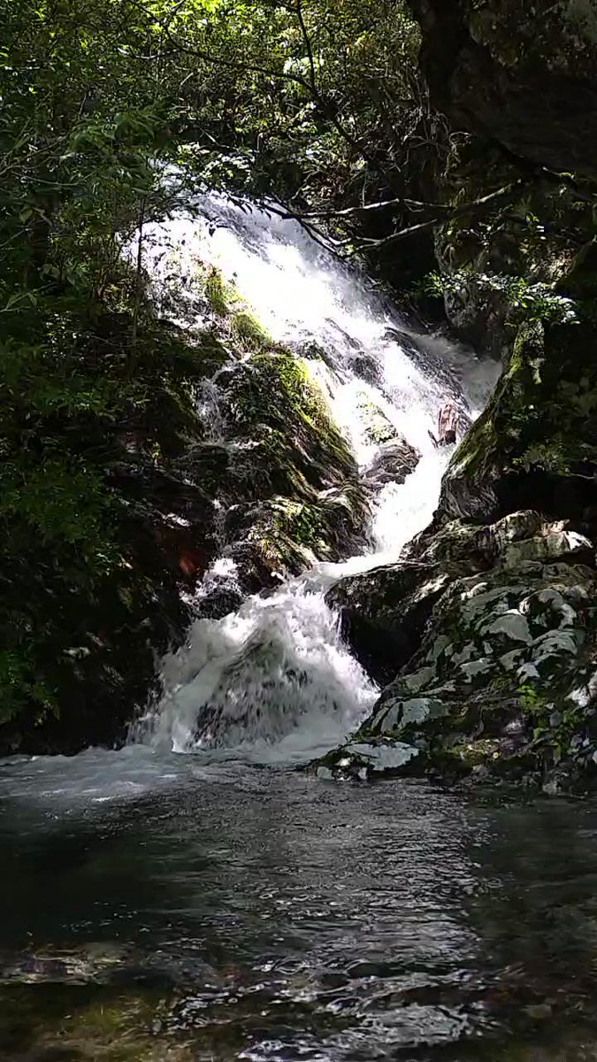 水辺の風景をお届けしています。 定期的に投稿していますので、水辺の風景がお好きな方は、ぜひフォローしてください(^^) YouTubeも併せてフォローお願いします(^^)