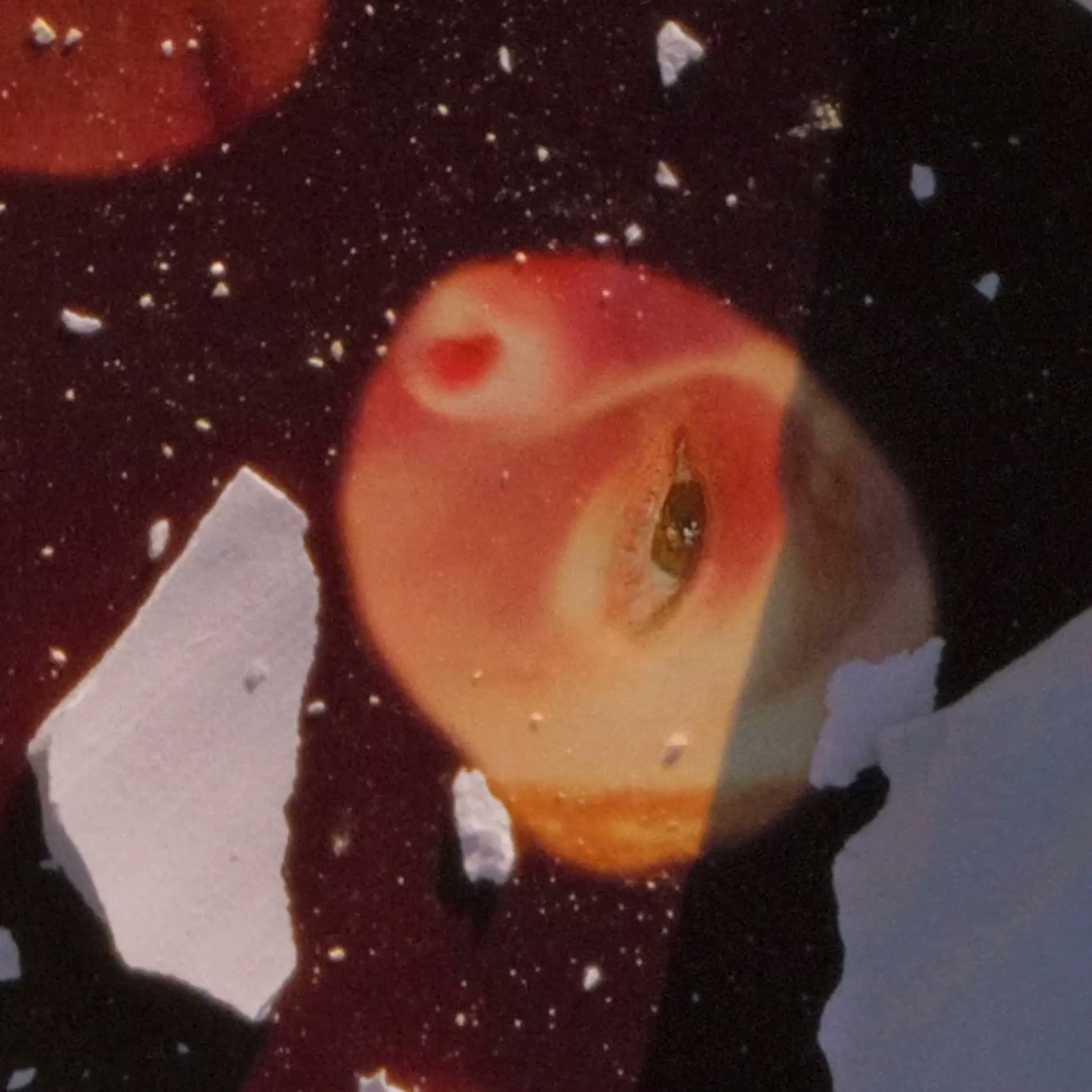 Fat Possum Records (FatPossum) / Twitter