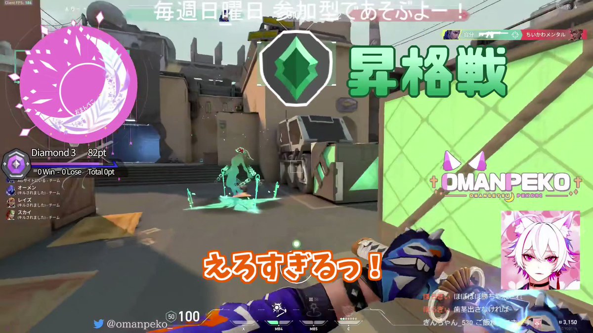 @omanpeko_'s video Tweet