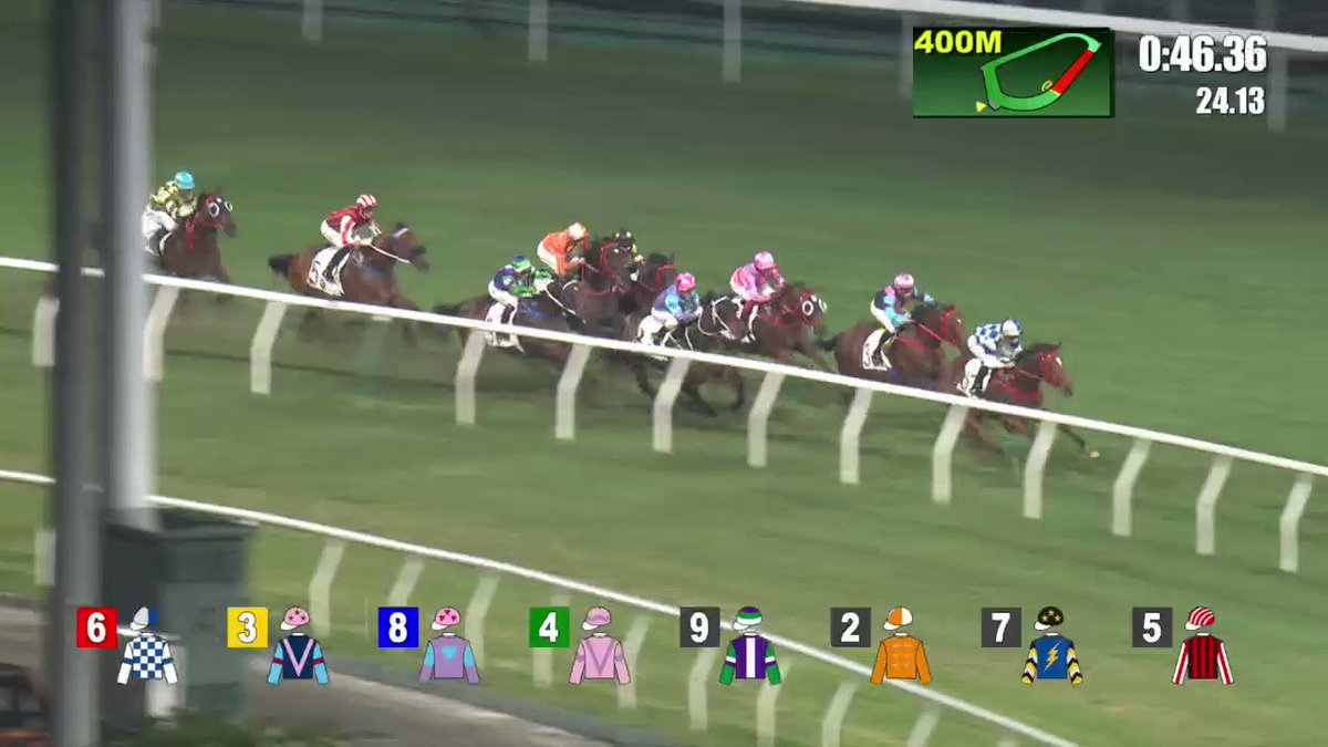 hkjc-racing-on-twitter-star-on-the-rise-nordic-dragon-the-hong