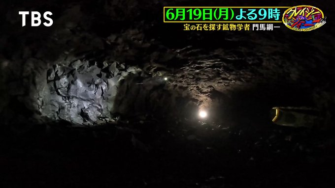クチグロトウカムリとダイオウトウカムリ2点セット(カリブ海の
