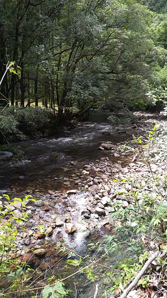 水辺の風景をお届けしています。 定期的に投稿していますので、水辺の風景がお好きな方は、ぜひフォローしてください(^^) YouTubeも併せてフォローお願いします(^^)