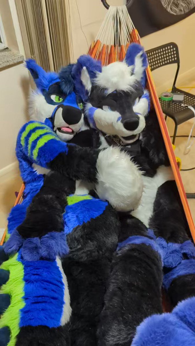 ๐ฆ Iris ๐ฆ ๐ AC on Twitter: "You know, freakhounds and foxes get along