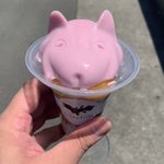 歩くだけで揺れるメンダコがかわいい!沼津深海水族館にあるメンダコプリンがかわいすぎる!