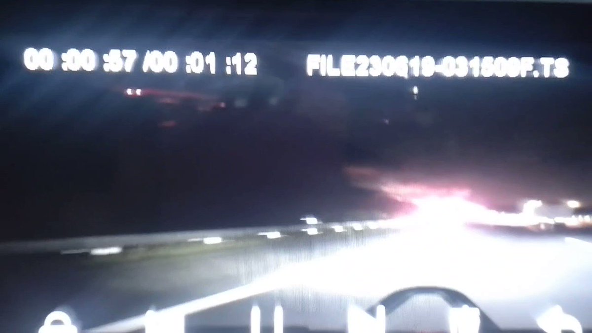 にゃんこと戯れ