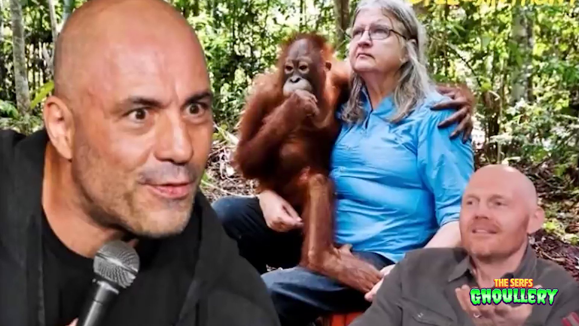 The Serfs on Twitter: "If you're wondering what Joe Rogan debating an