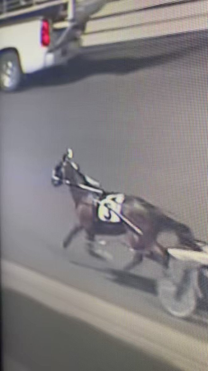 I want to know how a guy like this continues to drive……..one handers all the way around the track, situps all day, and maunever of whip use between left/right hand. Driving at your finest @YonkersRaceway https://t.co/j6mvT5TFzG