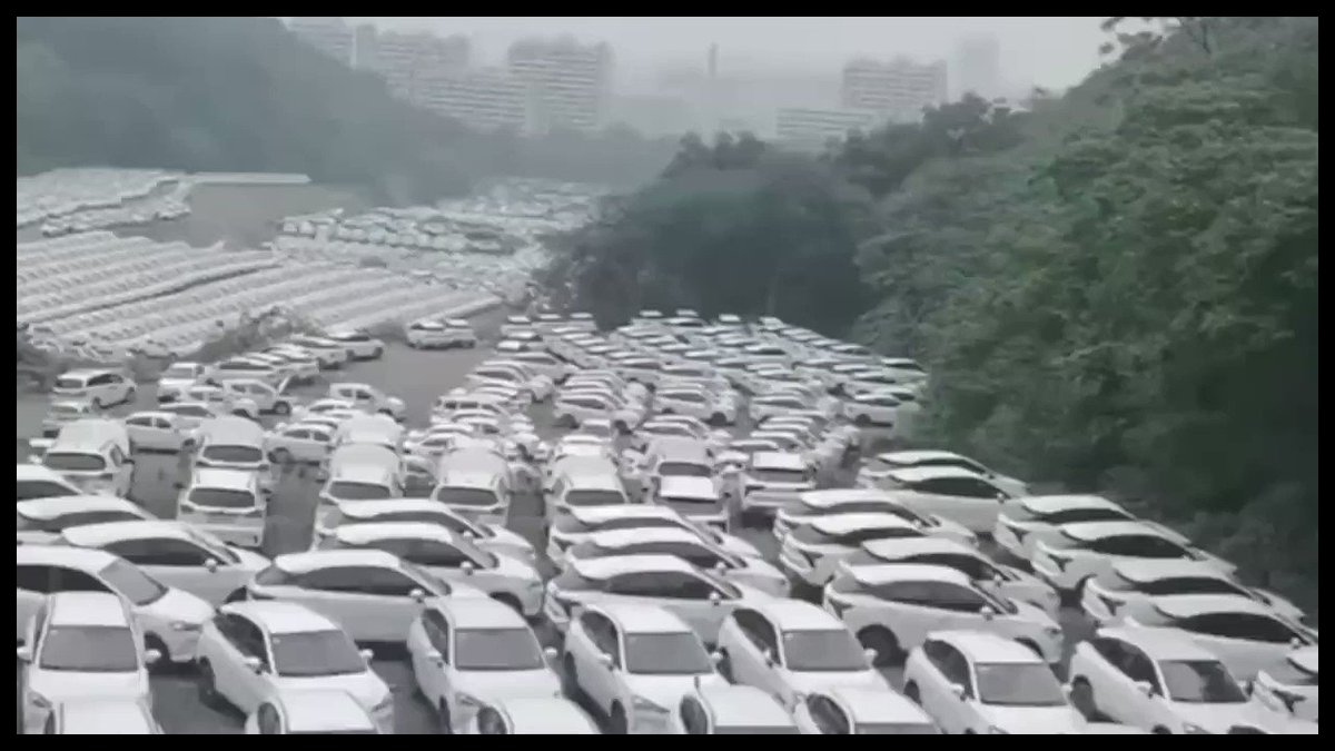Dane on Twitter "This video needs a lot of exposure. China is throwing