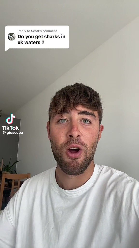 Henry Hart (h3nryhart) / Twitter