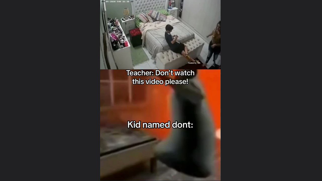 @Victor_videossss video Tweet