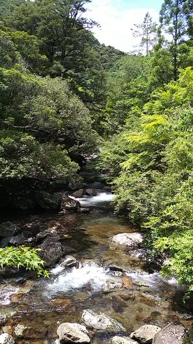 水辺の風景をお届けしています。 定期的に投稿していますので、水辺の風景がお好きな方は、ぜひフォローしてください(^^) YouTubeも併せてフォローお願いします(^^)