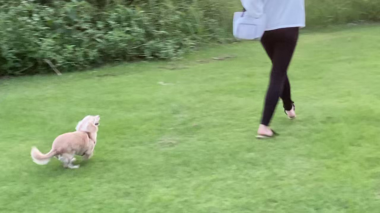 つやあり 《極上潤い美肌実現》スキンオイル スキンタイムセス 27D