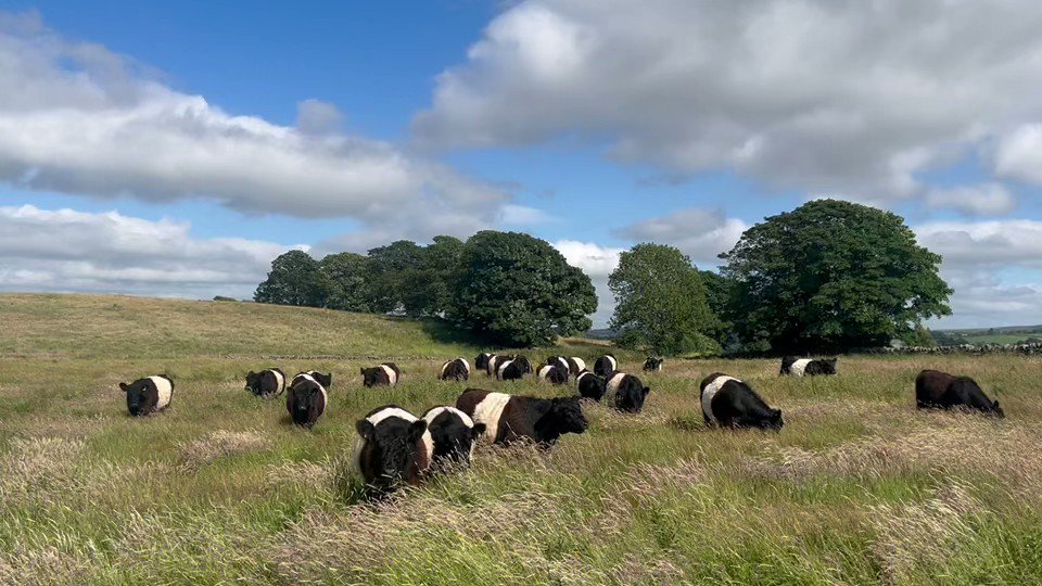 Andrea Meanwell on Twitter "It was a privilege to visit Troutbeck Park