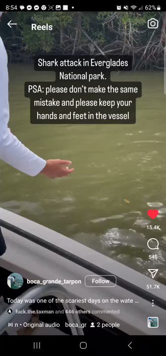 OnlyBangers.eth on Twitter: "Shark attack in Florida everglades"