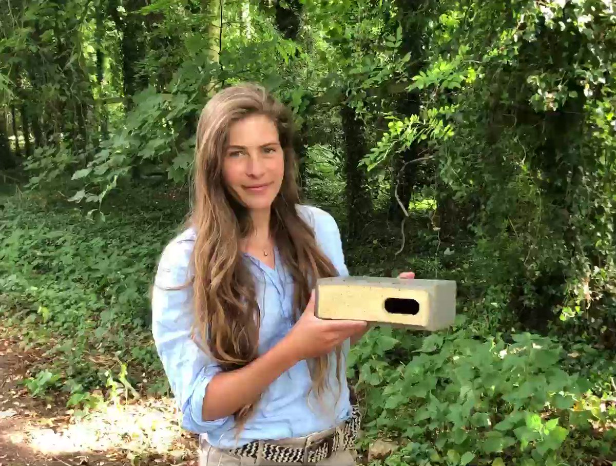 Hannah Bourne-Taylor on Twitter: "Email thefeatherspeech@gmail.com"