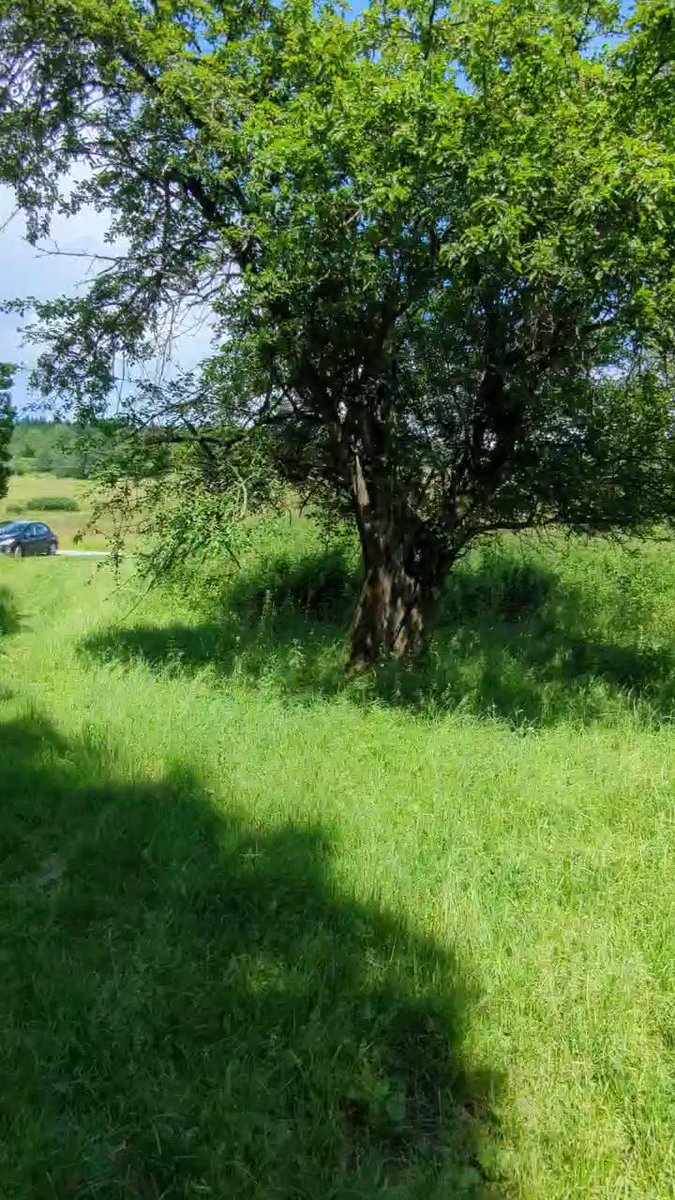tom-diserens-on-twitter-radocyna-valley-in-the-low-beskids-has-been