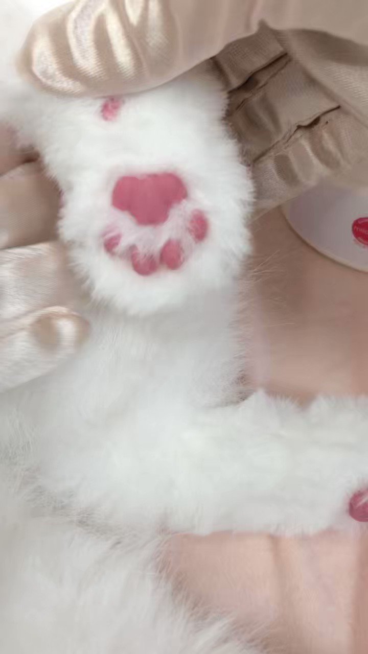 小物などお買い得な福袋 オートクチュール♥(*^^*)♥な～ちゃん御予約