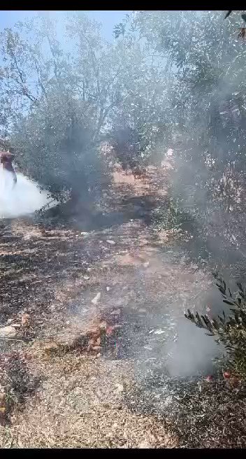 RT @Timesofgaza: lsraeli settlers set fire to Palestinian-owned lands south of Hebron. https://t.co/noHrIrVoLH