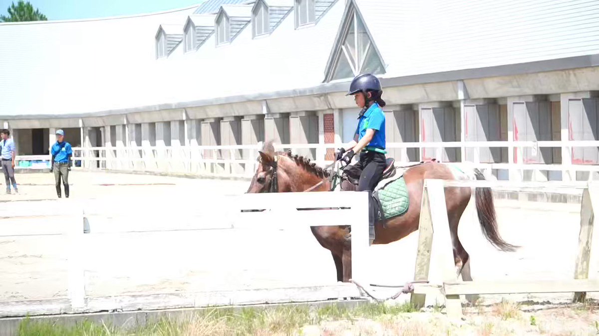 秋セール 八王子乗馬倶楽部の乗鞍券13回分 チケット