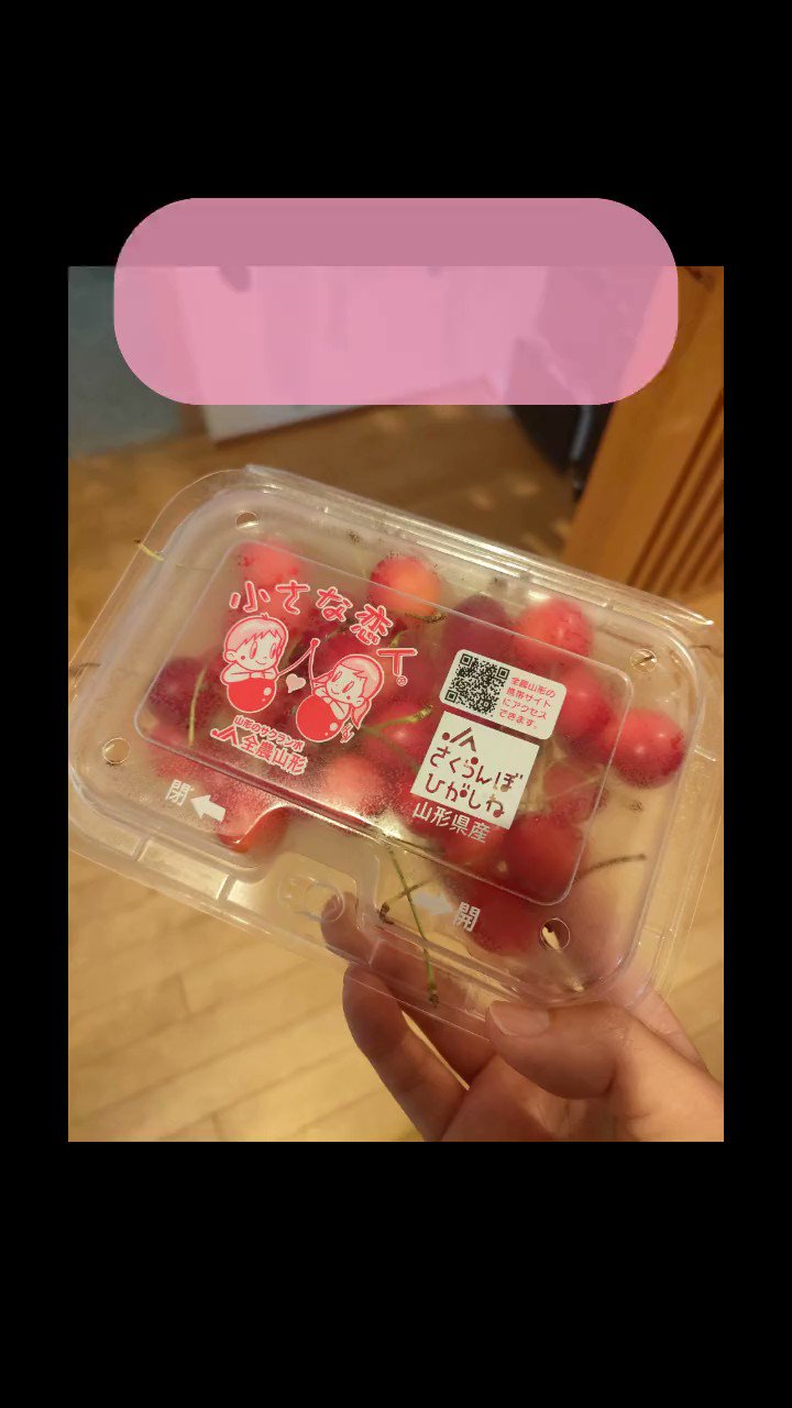 かめきち カメと仲良くする方法 on Twitter 