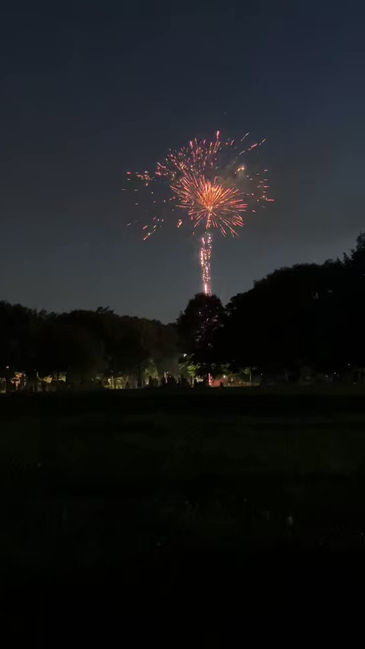 Erin Hegarty on Twitter "The effort to halt fireworks at Winnemac Park