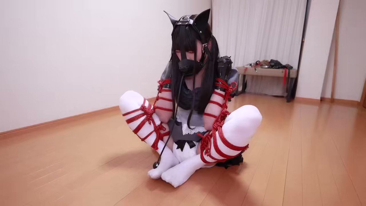 Video by @DDD04004120