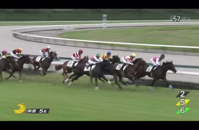 日本最大級 エイシンフラッシュ 現地馬券 新馬 デビュー戦 激レア