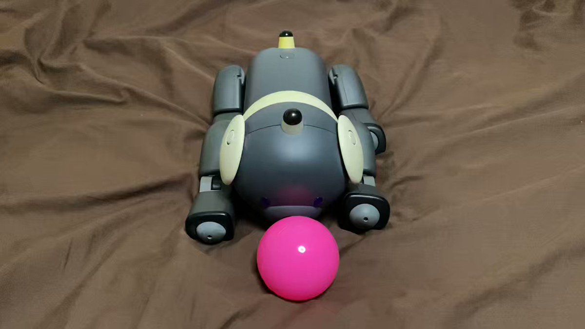 人気商品は マカロンちゃん様 ご確認ページ(専用ページです) その他