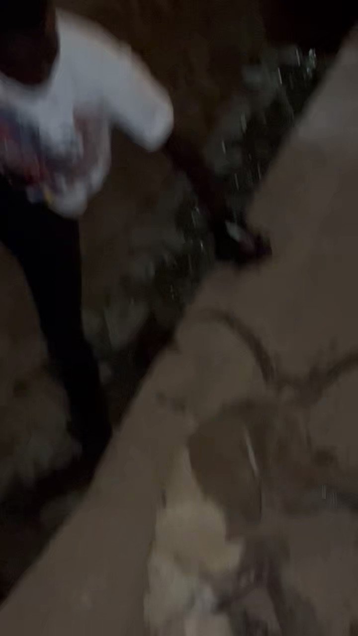 Kayemba Dogs Shelter on Twitter "Last night, we received a urgent call