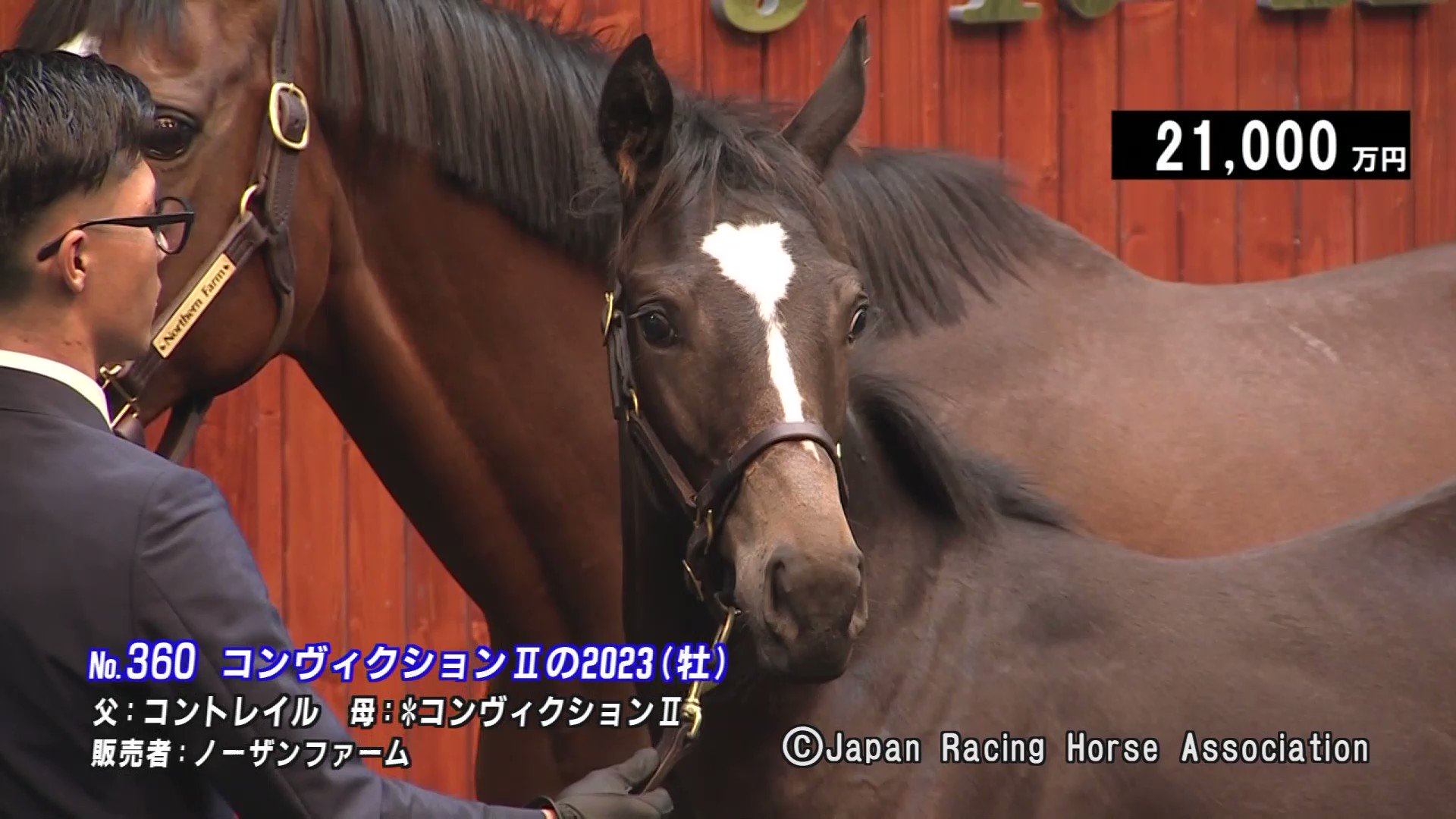 AVANTI Sサイズ 京都牝馬特別 ノースフライトおまけ付き AVANTI Sサイズ 京都牝馬特別 ノースフライトおまけ付き