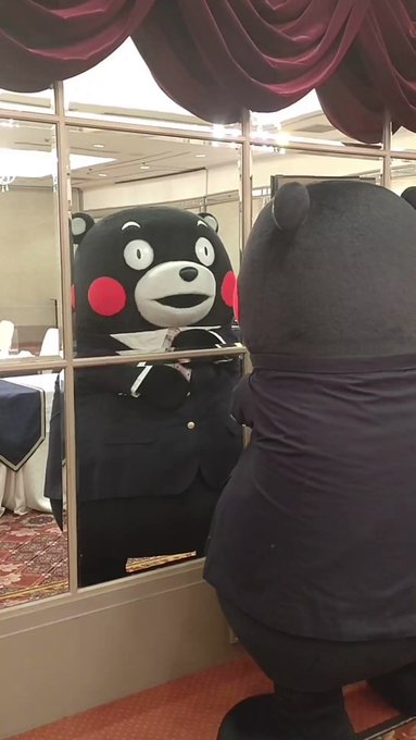 ワコール のびっちゃお くまもん 上のみ 885.5円 公式ファッション通販