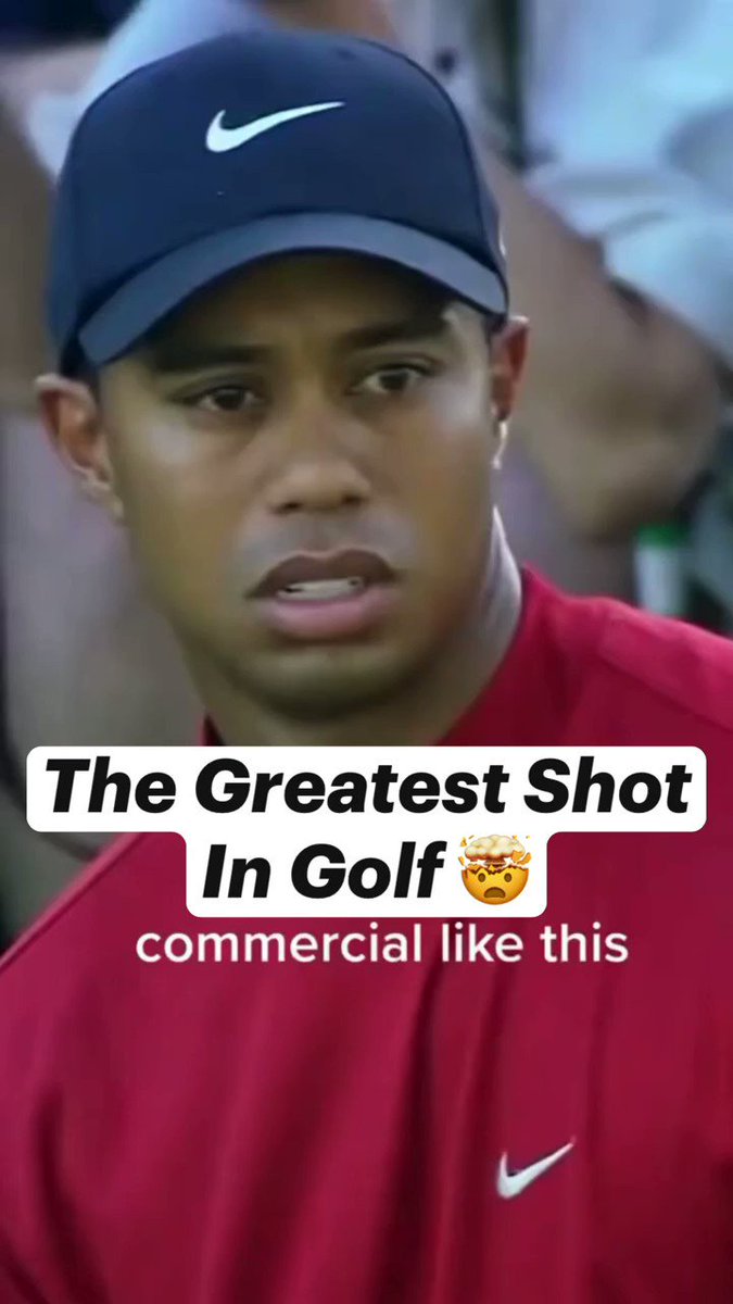 RT @archehistory: @historyinmemes The Greatest Shot By Tiger Woods https://t.co/efygpon3UL