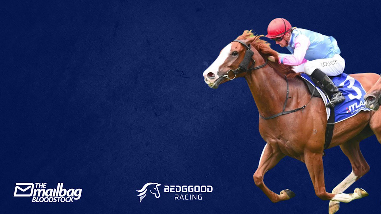 Mailbag Bloodstock on Twitter "Highlighting a few of the many career