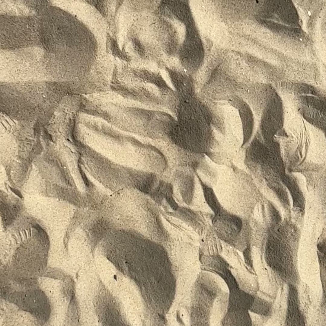 Jersey Mike's Subs on Twitter "We’re throwing shore points your way! 🐚