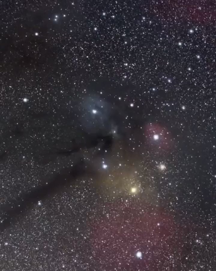 Astronomy Ocean on Twitter: "James Webb Space Telescope view of Rho