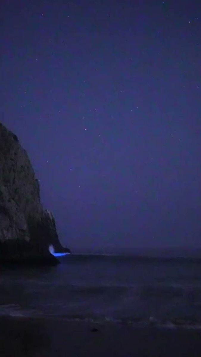 RT @gunsnrosesgirl3: bioluminescent waves roll in, like standing on the shores of a different planet 
https://t.co/kOS6G1EgRL