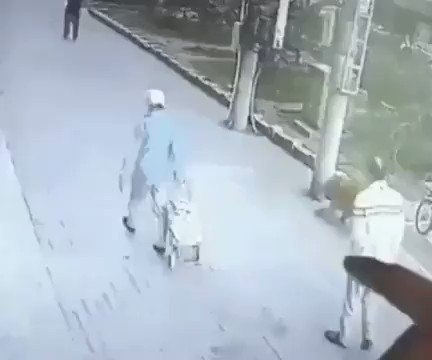 RT @crazyclipsonly: A cat falls on man's head and a dog wearing shoes tries to defend him https://t.co/325YXB40h6
