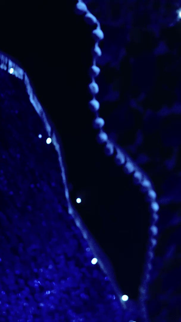 christian dior spirit 2