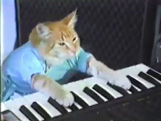 RT @NostalgiaFolder: keyboard cat (2007) https://t.co/9eszQA46lB