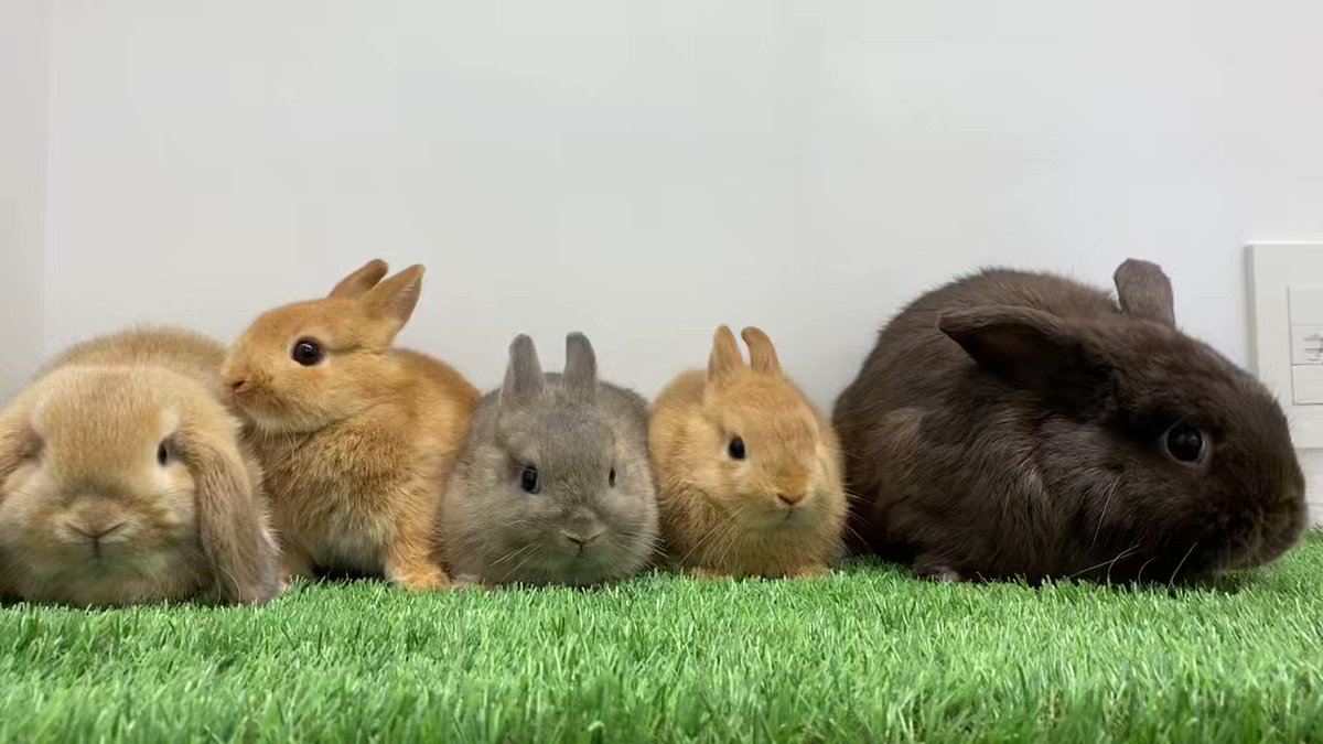 うさぎ様 ウサギ刺繍付きピンク数珠
