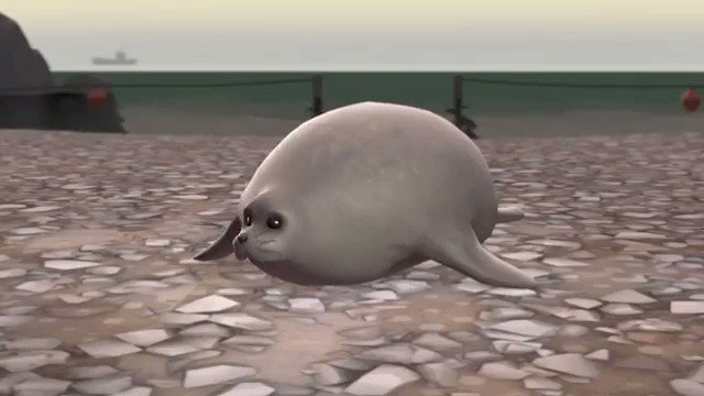 RT @heavyfortres: more seal content https://t.co/y79JrT8tKm