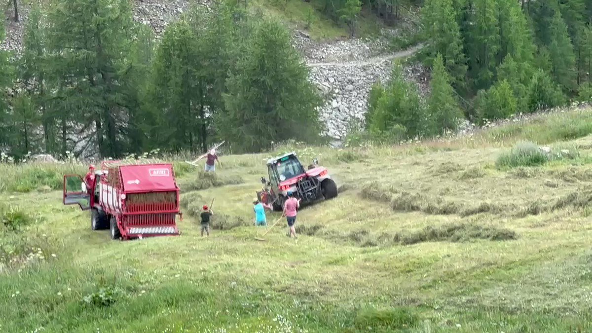 Got to see the annual silage harvest Swiss style today.  A family affair with with a mix of modern and not so modern equipment (a hand rake) all in the same “paddock”. https://t.co/8FZ3A3veWj