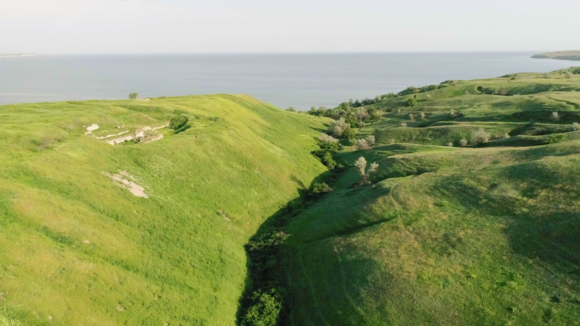 Ukraïner / ウクライナー on Twitter 