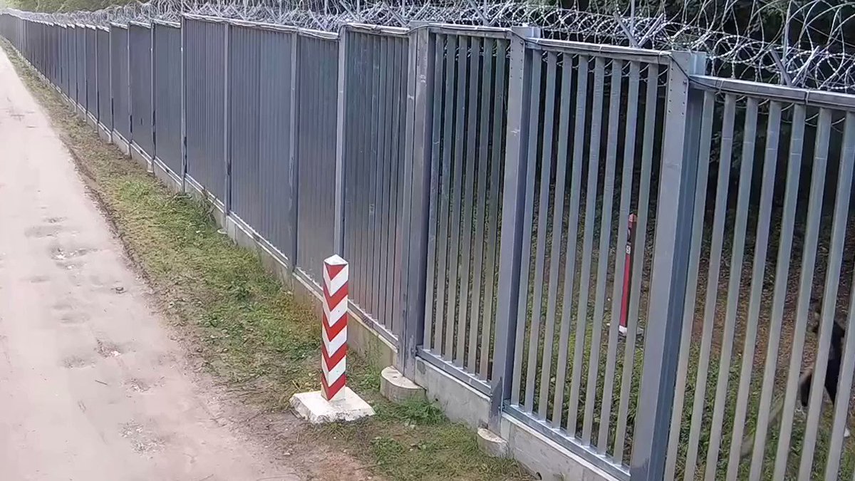 Filiżanka on Twitter: "Польский пограничный столб 1:0 мигрант. Polski ...