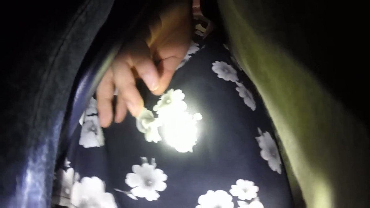 扫楼顺丝 | Twitter Video Tools