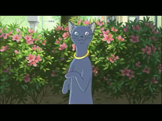 霧矢あおいの出張人生相談室 激安大阪 アニメ gofeesha.com