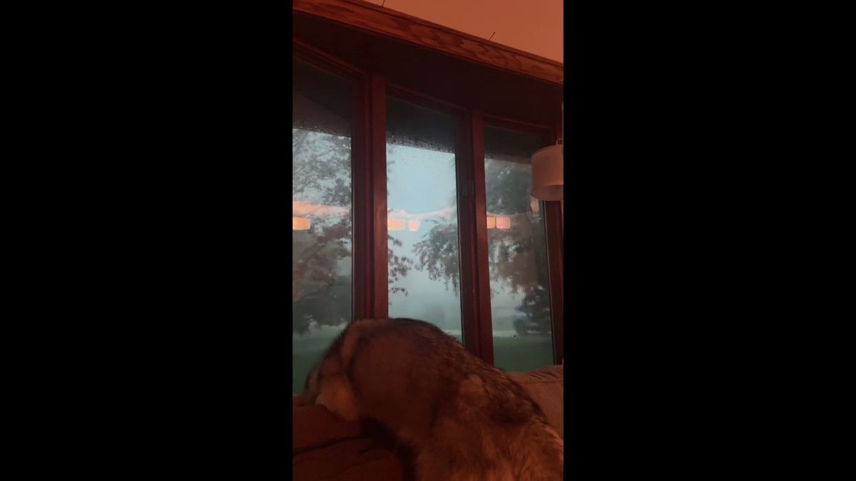 Storm damage reports coming in from across our area -- including this video from Selene Tennant of a tree falling in Roberts, WI.

Xcel Energy reports over 39k customers without power.

More: https://t.co/NsSKqEhf6z @WCCO https://t.co/FNd1o6MzFb