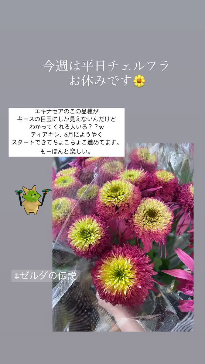 【のっこ】お花タイル付❤️整理ダンス ting | ナチュラルインテリア | MOHALA “blooming” dress hanger