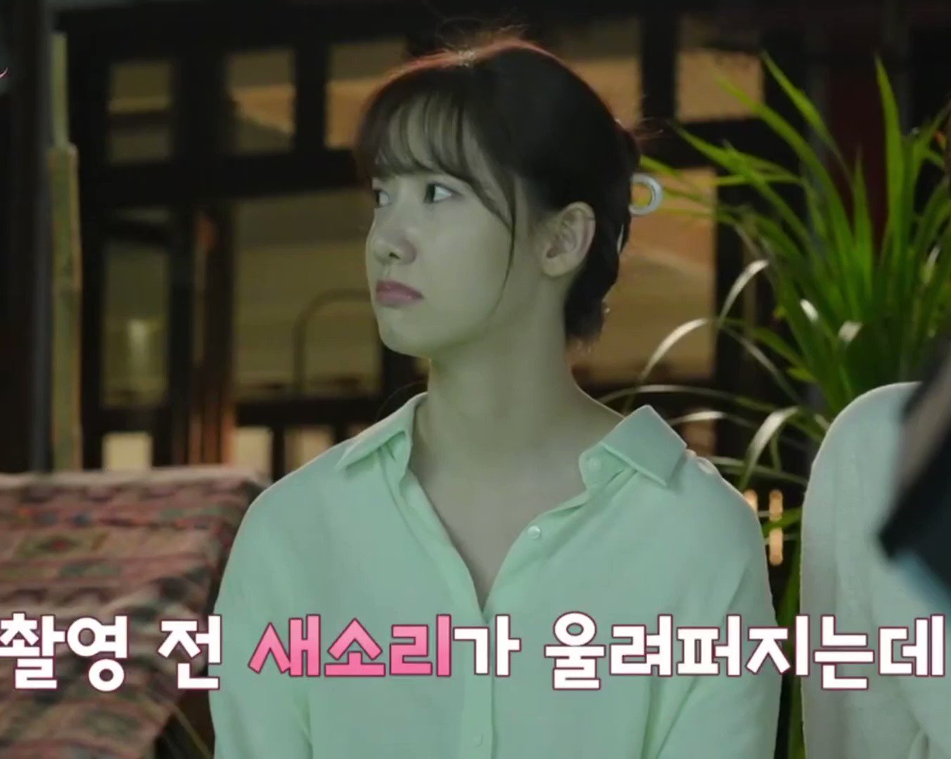 Mystarmyangel on Twitter: "There were birds chirping before filming and